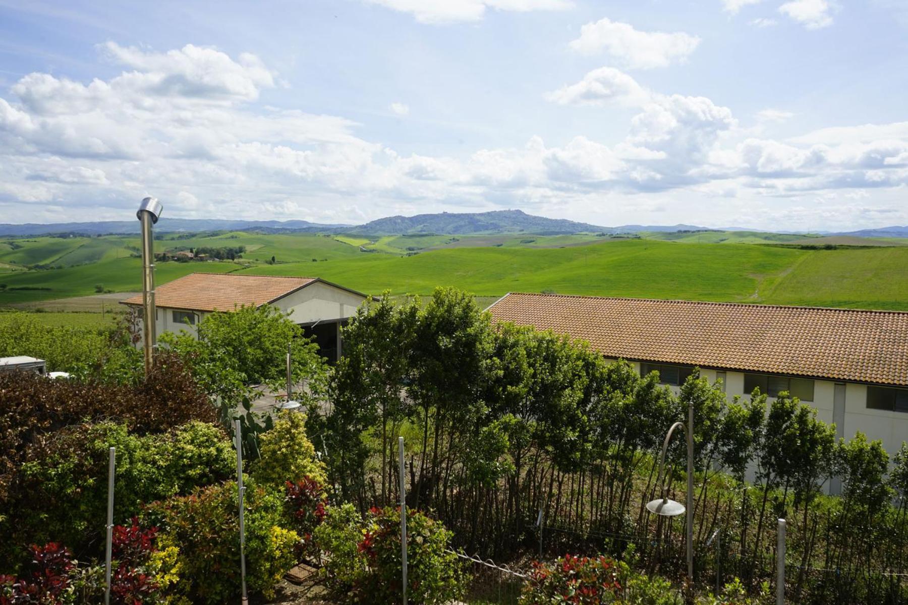 Agriturismo Signorini Orciatico Eksteriør bilde