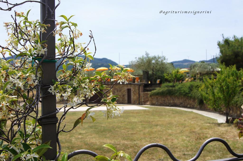 Agriturismo Signorini Orciatico Eksteriør bilde