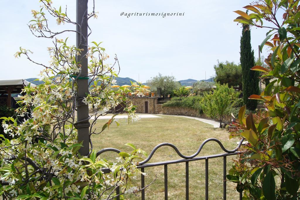 Agriturismo Signorini Orciatico Eksteriør bilde
