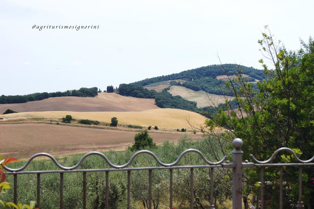 Agriturismo Signorini Orciatico Eksteriør bilde