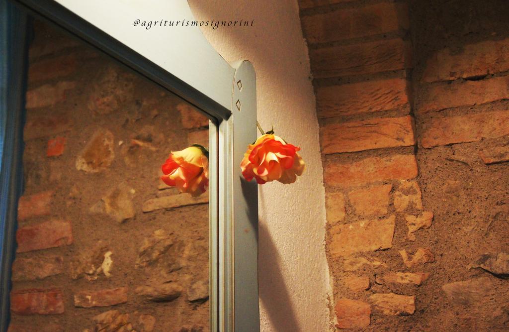 Agriturismo Signorini Orciatico Eksteriør bilde