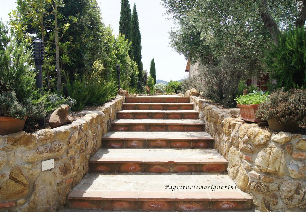 Agriturismo Signorini Orciatico Eksteriør bilde