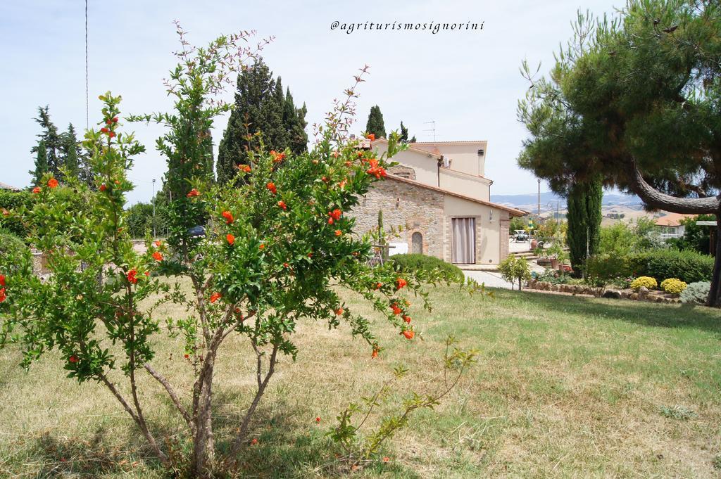 Agriturismo Signorini Orciatico Eksteriør bilde
