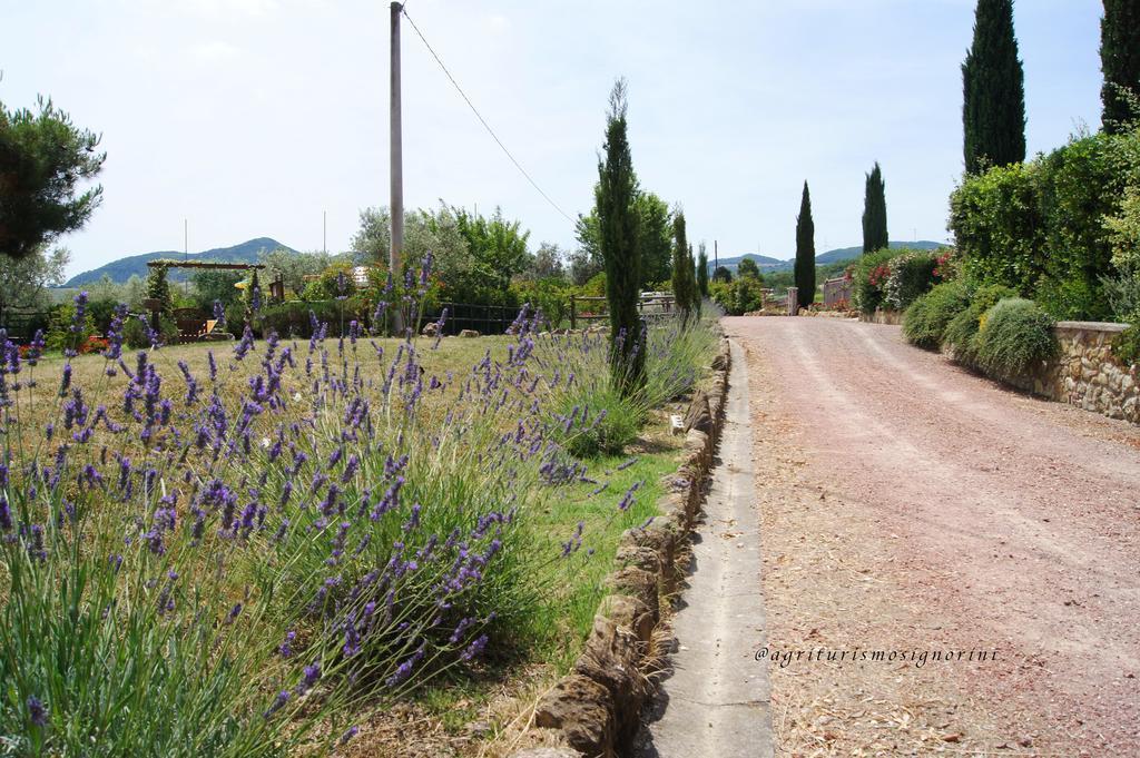 Agriturismo Signorini Orciatico Eksteriør bilde