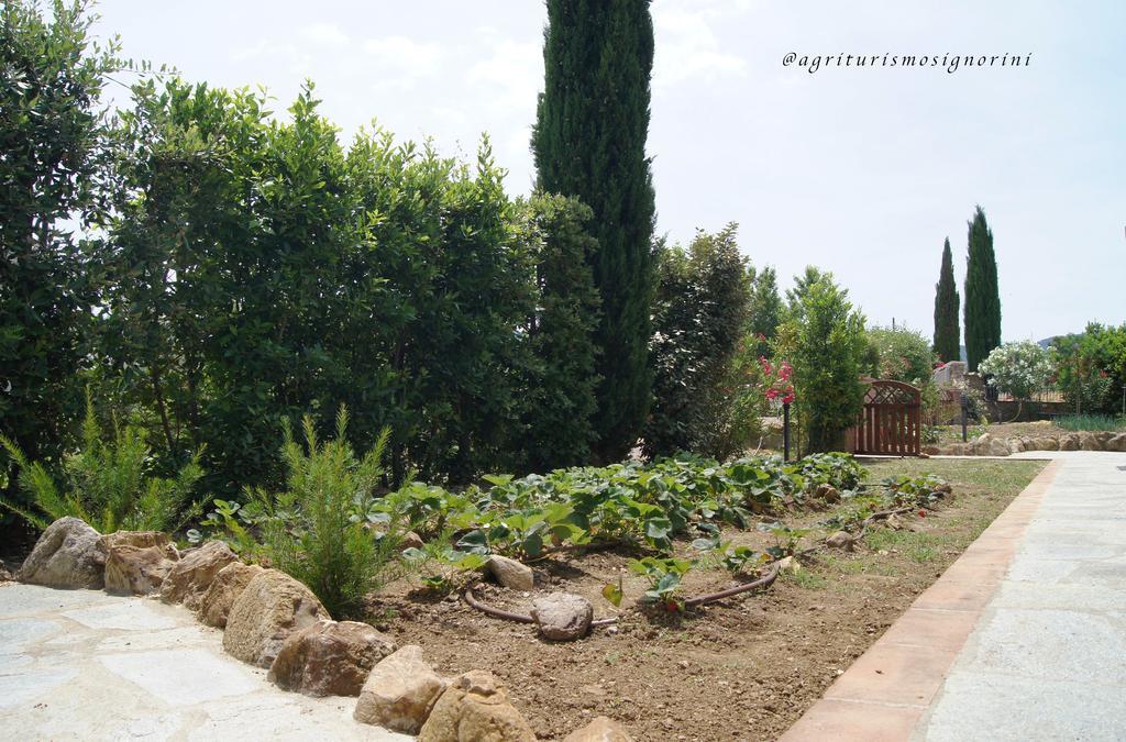 Agriturismo Signorini Orciatico Eksteriør bilde