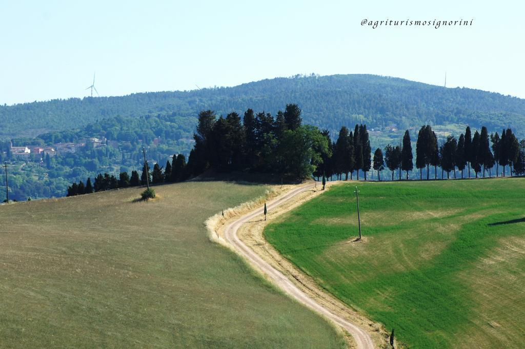 Agriturismo Signorini Orciatico Eksteriør bilde