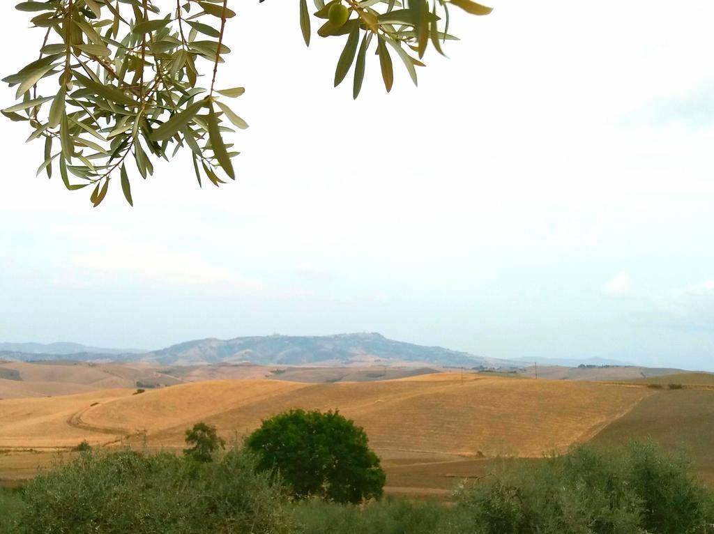Agriturismo Signorini Orciatico Eksteriør bilde